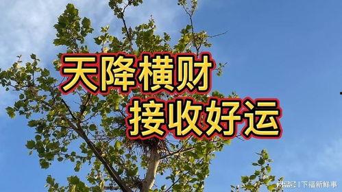 天降好运,揭秘幸运降临的神秘力量