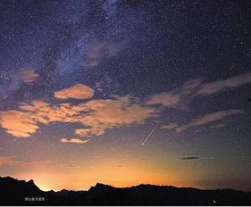 月华如水花照影,花影婆娑——漫步诗意夜境